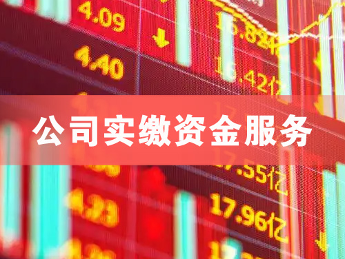 万宁公司实缴资金服务